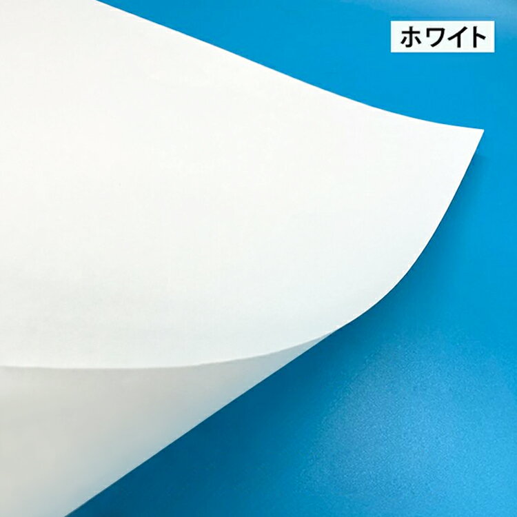 MS����Ȼ� A1, �졼�����ץ�󥿡� �޾� �μ��� ̾�� ������ �����Ե� Ĺ����¸�� ���� ���� �ڽ�