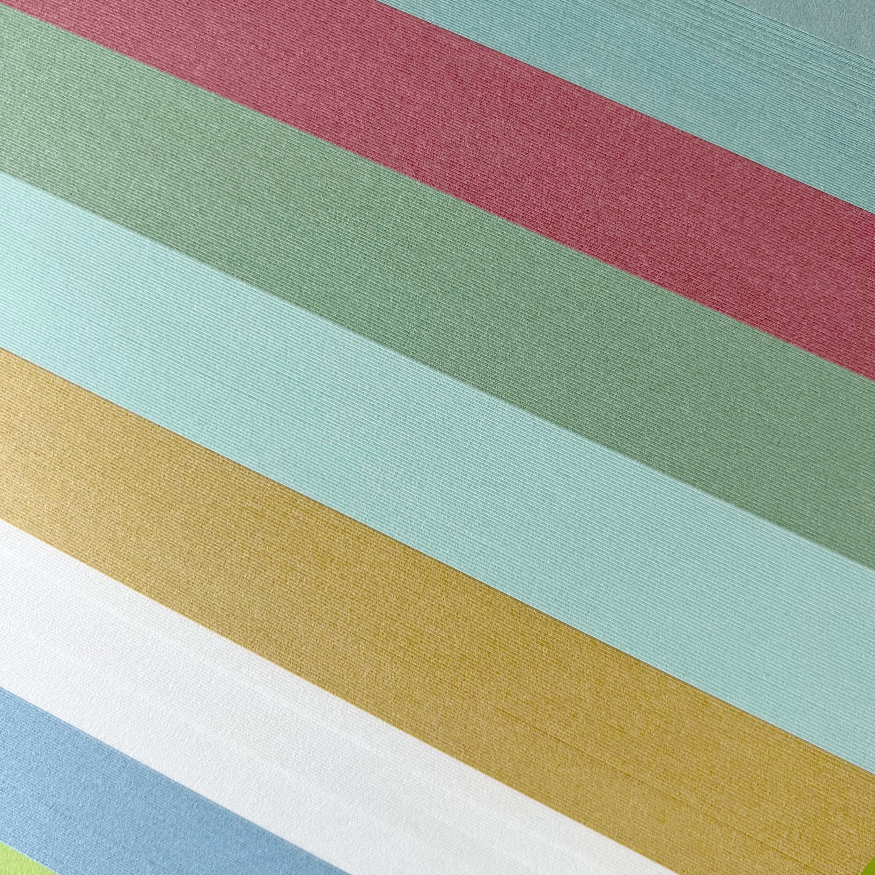 ��500�ߥ����ݥ��դ��ۡ�DEAL�оݥݥ����10%��Τ�� A5 ����ץ�5������ �����ȸ��ߤϥ�����, �ܤ����� �ѥå����� �ѥ�ե�å� ���� ���� ����� ������ ̾�� �»��� ������