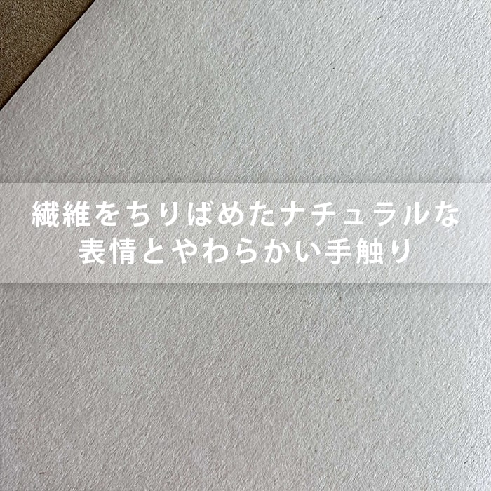 カラーレーザートナー ブラザー TN-491Y