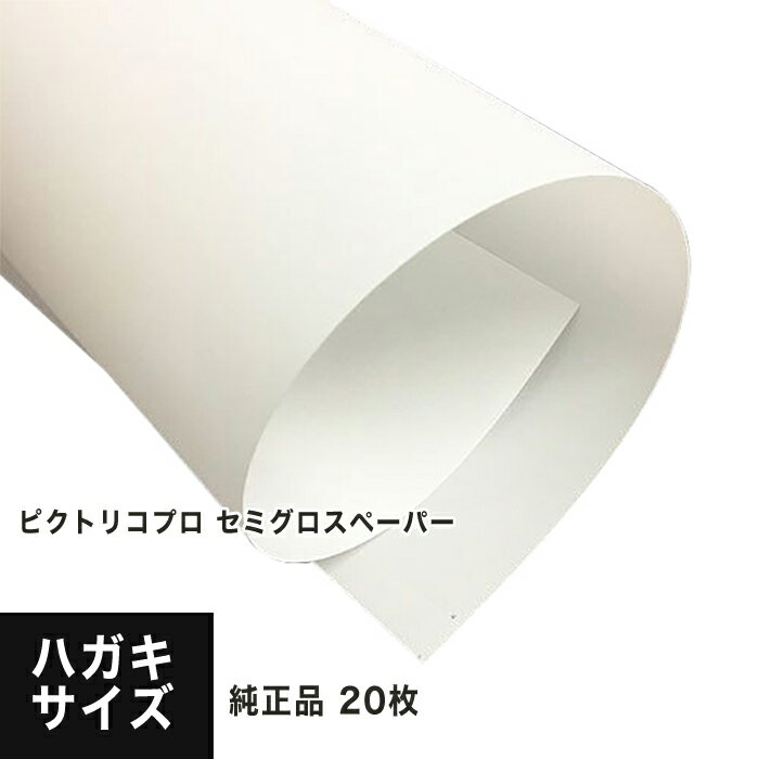 ピクトリコプロ セミグロスペーパー ハガキ 20枚 PPS200-HG-20, 速乾性 耐水性 染料顔料兼用 高白色度 半光沢 印刷紙 印刷用紙 印画紙 インクジェット用