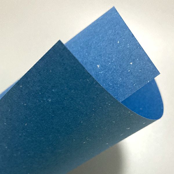 ��500�ߥ����ݥ��դ��ۡ�DEAL�оݥݥ����10%�ۿ�����ʪ�� A5������������ץ륻�å�