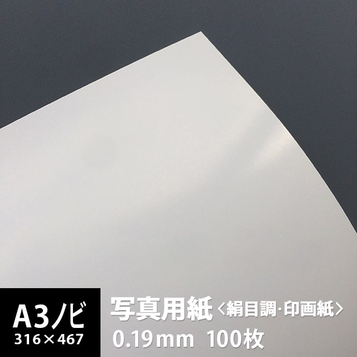 楽天市場】エプソン 絹目 a3ノビの通販