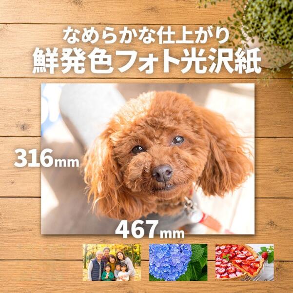 写真用紙 フォト光沢紙 0.23mm 316×467