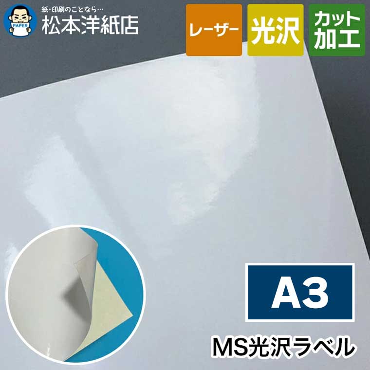 MS光沢ラベル A3