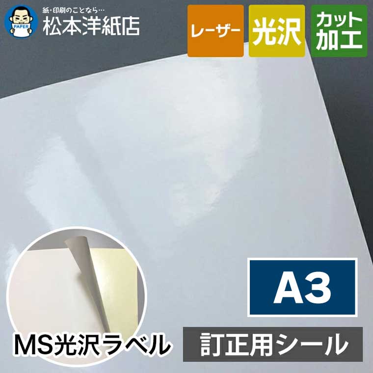 MS������٥�������ѡ�A3