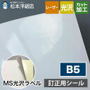 MS光沢ラベル「訂正用」B5サイズ