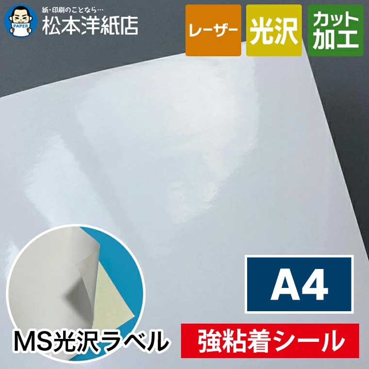 MS������٥�ֶ�Ǵ���A4