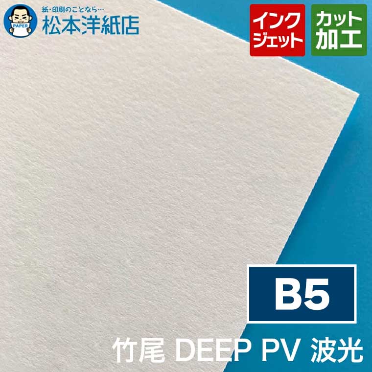樂天商城 - 竹尾 DEEP PV 波光 B5, インクジェット 厚紙 厚手 カラー 写真 カタログ イラスト 絵画 複製画 プロ品質