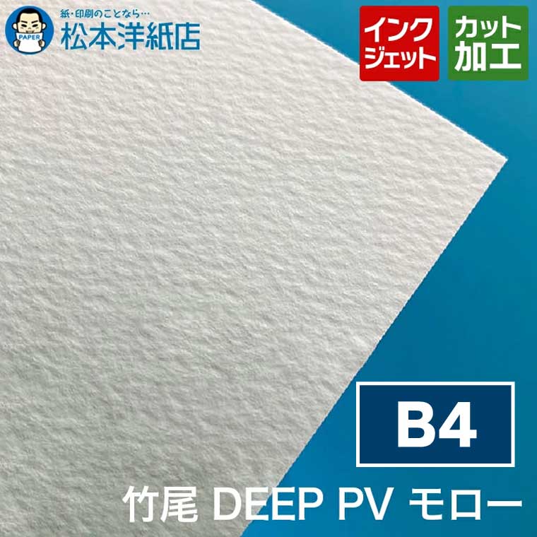 竹尾 DEEP PV モロー B4, インクジェット 厚紙 厚手 カラー 写真 カタログ イラスト 絵画 複製画 プロ..