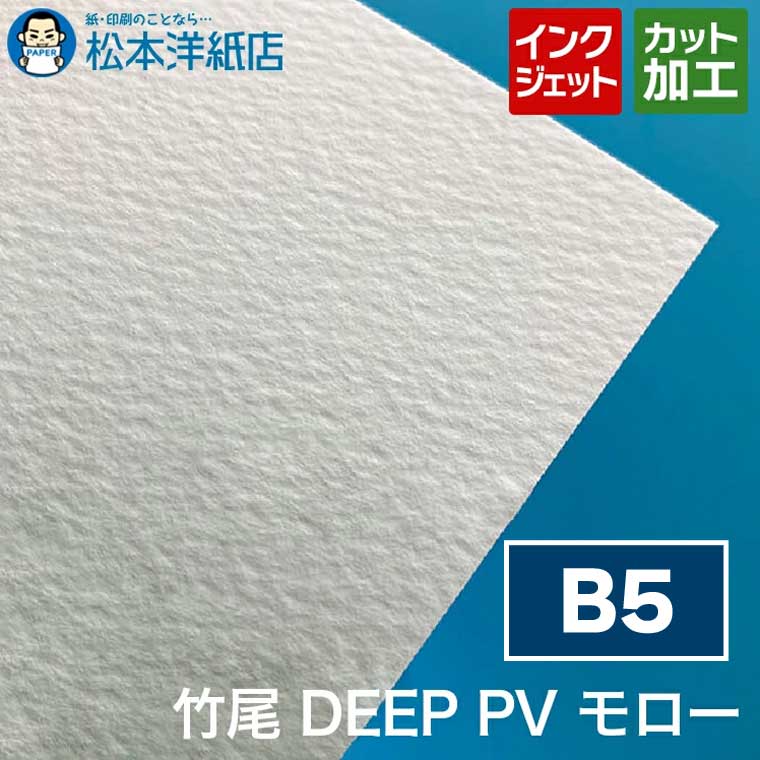 竹尾 DEEP PV モロー B5