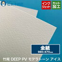竹尾 DEEP PV モデラトーン アイス 全紙サイズ 980×670mm