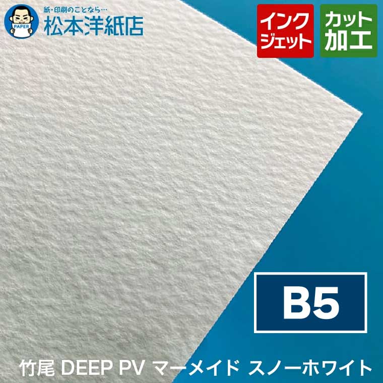 竹尾 DEEP PV マーメイド スノーホワイト B5, インクジェット 厚紙 厚手 カラー 写真 カタログ イラス..