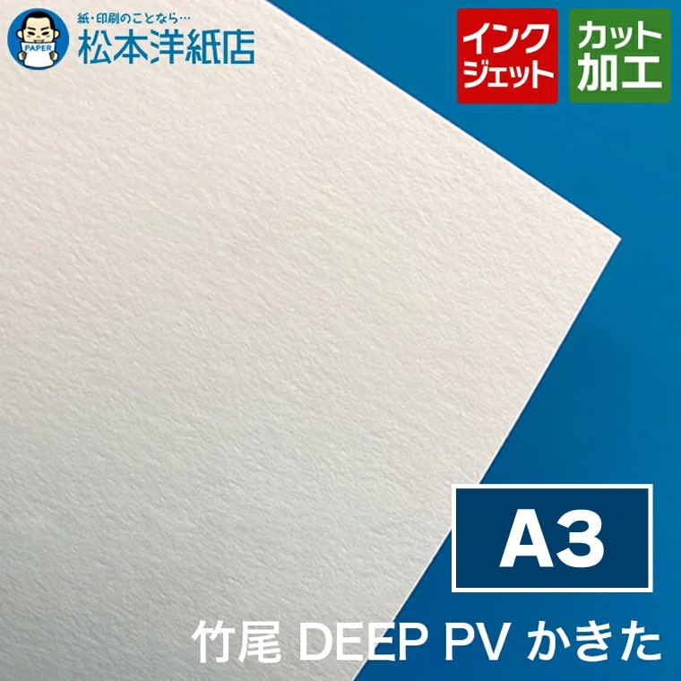 乐天商城 - 竹尾 DEEP PV かきた A3