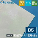 和紙ラベル「雲竜・白」総厚:0.22mm B5サイズ