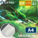 MS光沢紙 A4