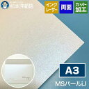 MSパールiJ A3サイズ