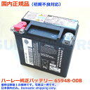 ☆ ハーレー純正 バッテリー 【66000206B】(互換 65948-00B YTX14) AGM 高性能 正規輸入 H-Dジャパン 最新入荷 VRSCA VRSCB ビューエル Vロッド 65948-00b