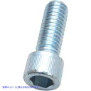  \Pbg̐[LbṽXN[ GXAhGX TCN Screw - 3/8-16X1 50-0161 DRAG 10031730