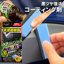 黒樹脂コーティング モンスター バックオンブラック S211 樹脂コーティング Pro Staff コーティング剤 黒樹脂 ブラック 黒艶 パーツキング