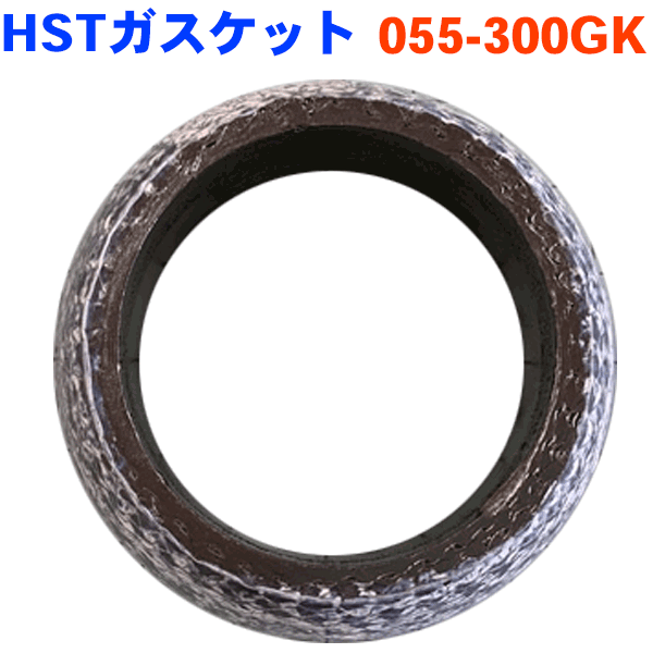 HST製 ガスケット 055-300GKピクシスエポック ムーヴ プレオプラス パーツキング