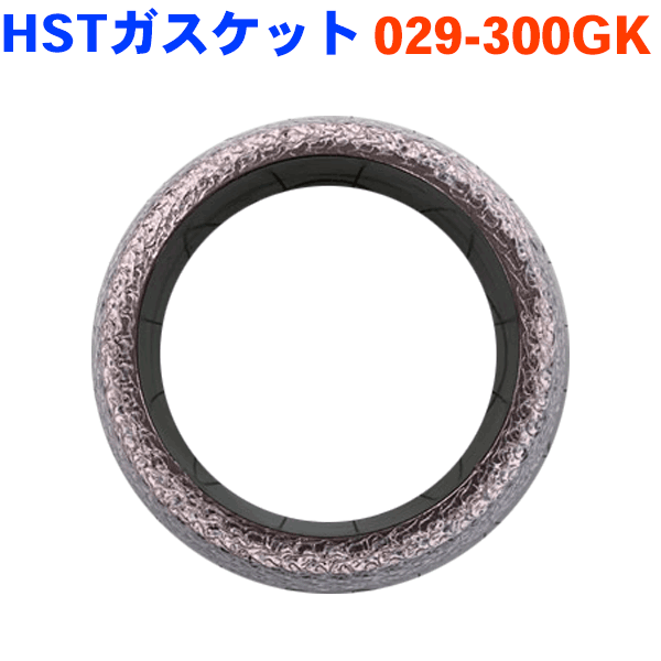 HST製 ガスケット 029-300GKレガシィ BFA パーツキング