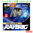 ヘッドランプ用 LEDバルブ 12V/24V兼用 H4 ハイパー 6300ケルビン 2個入 4輪用 四輪用 RK42 レイブリック シールドビーム /RAYBRIG