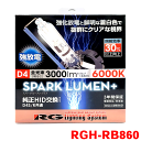 RG レーシングギア 純正タイプ RGH-RB860 D4S/D4R 共通タイプ HID交換バルブ 白色 3000lm 6000K 85V35W 左右セット 車検対応 その1