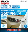 RG 拡散材レンズ LEDランプ RGH-P145 12V/1.0W 150lm 6000K T10 2個入 ホワイト 白 ナンバーランプ ルームランプ ポジションランプ 車検対応 1年保証