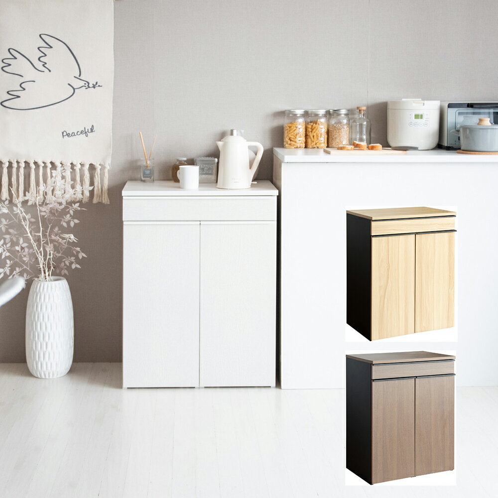 家具風　のWサイズ 　ゴミ箱 ドロワー式・ダストボックス 45Lx2　小物用引き出し付き　 おしゃれ 家具調 【幅60×奥行き42×高さ80cm】　組立式（約75分）