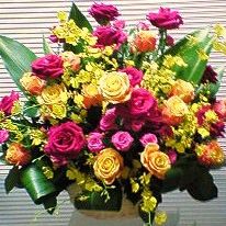 [お祝い花][誕生日花]にも★バラの華やかアレンジ