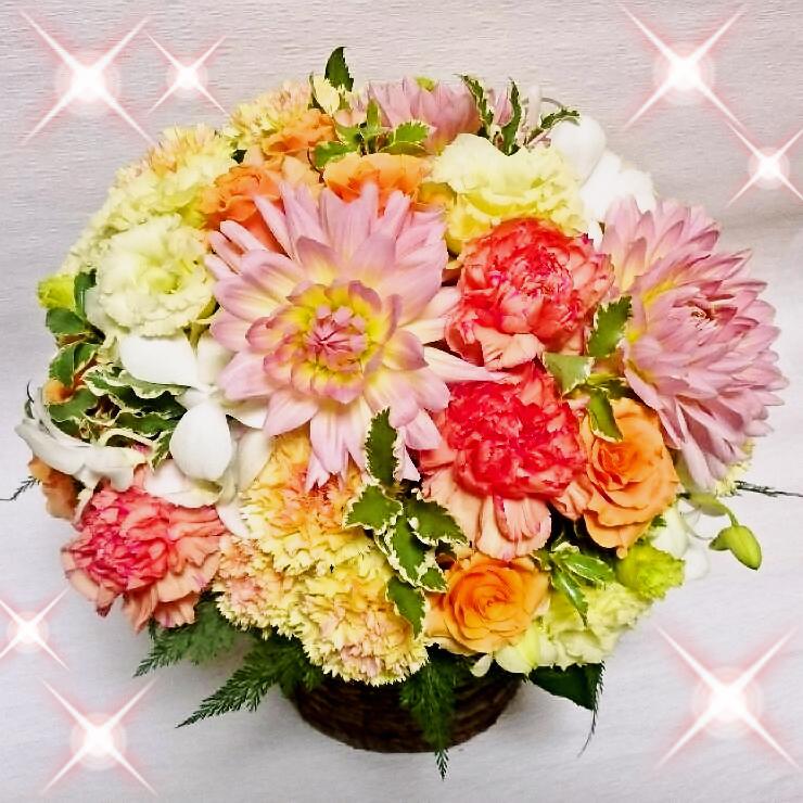 ֤ĳڥֽˤֳŹ˲ֵǰ֡סڡۡڥۡHLS_DUۡRCPۡڳڥ_åϡP23Jan16