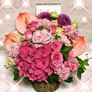 [最短翌日届][送料無料]お洒落季節アレンジ　楽屋花　誕生日花　御祝花　開店祝い...