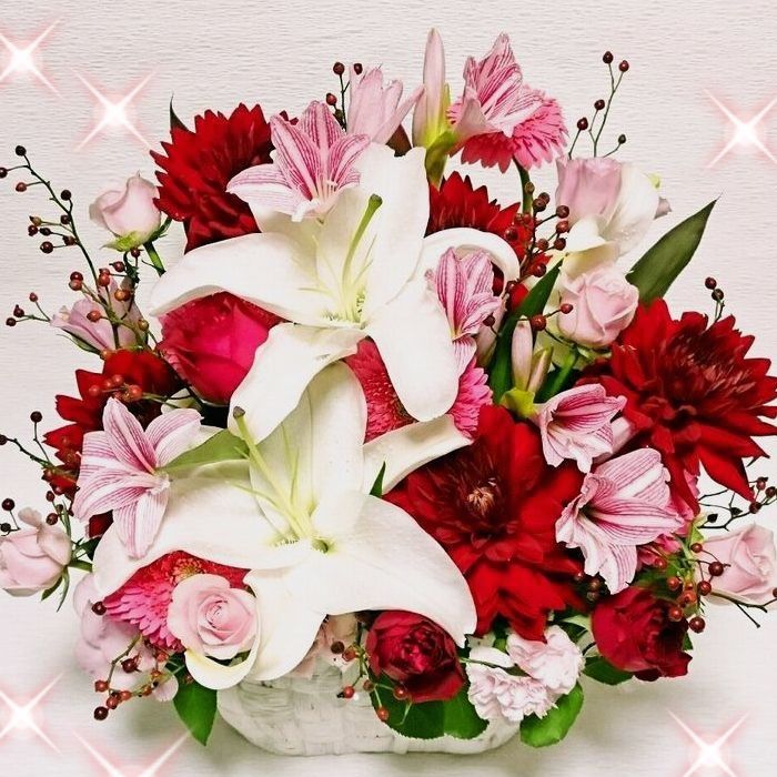 [最短翌日届][送料無料]お洒落季節アレンジ　楽屋花　誕生日花　御祝花　開店祝い...