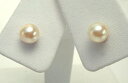 真珠ピアス・あこや本真珠ピアス/K14WG 5.5-6.0mm【お買い得品】(4)