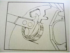 ��1��16���ޤǥݥ����UP�ۥ����륷����ס��顼 �����륷���볰�� ������ȴ�� �����٥���󥰳��� �޼� �����륷����� ���� 1ǯ�ݾ��� ����̵��