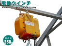 電動ウインチ 100V ホイスト クレーン 60Hz 最大能力250kg 家庭用100V対応 強力小型 出張先や現場ですぐに使える移動式 吊り下げタイプ DIY...