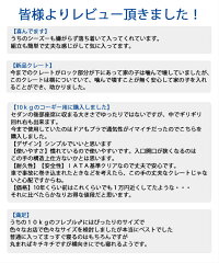 【レビューで送料無料】デラックスペットキャリー60【〜18kgまで対応】