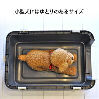 ペットキャリーバッグデラックス60L中型犬大型送料無料プチリュバンブランド