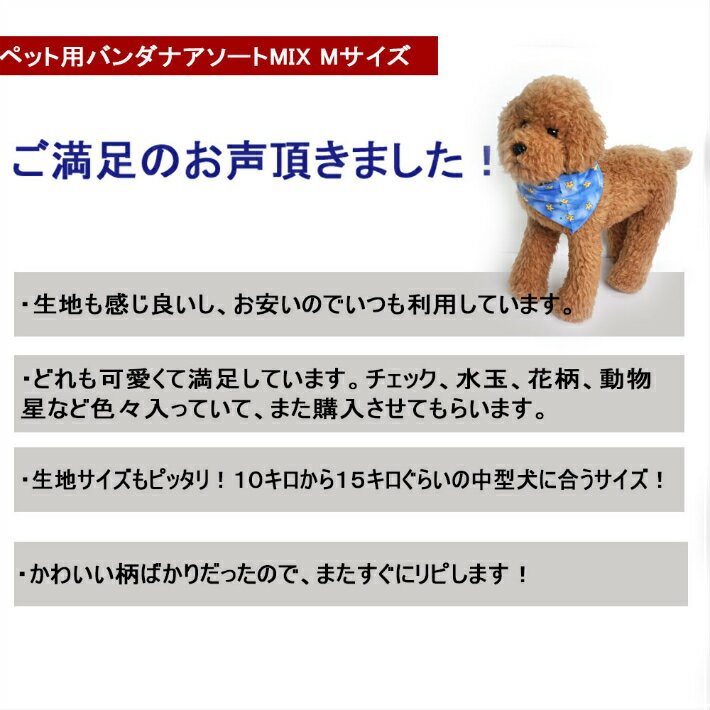 【全品P3倍&エントリーでP3倍】バンダナペット用MサイズMIX10枚入り柄はおまかせミックスメール便送料無料