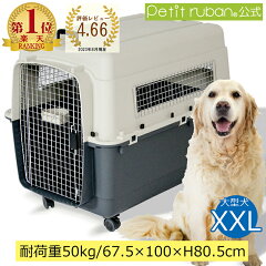 https://thumbnail.image.rakuten.co.jp/@0_mall/auc-petitruban/cabinet/biiino/item/main-image/20230818154639_1.jpg