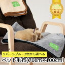 【おすすめ】ペット毛布 単品1枚 リバーシブル 70×100cm アイボリー ブラウン グレー ネイビー オールシーズン ひざ掛け ブランケット ペット 犬 猫...