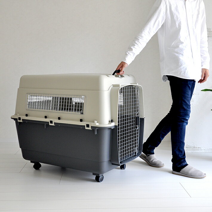 Iata基準クリア ペット キャリー キャリーケース キャリーバッグ ケージ クレート 防災 ゲージ 大型 超大型犬 何でも揃う 超大型 送料無料 ハードキャリー ペットキャリーバッグ コンテナ Xxl 大型犬 Dx100
