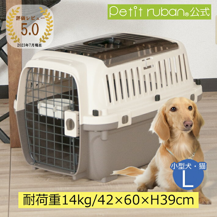 ペットキャリー 【おすすめ】〈あす楽〉ペットキャリーバッグ PM60 L 小型犬 送料無料 犬 猫 ペット キャリー キャリーケース コンテナ クレート ハードキャリー ペットクレート キャリーバッグ ダブルドア ペットケンネル