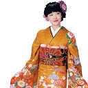 【振袖 着物】H・L 絵羽 振袖 着物【単品】【5】オレンジ系 大花 縞 成人式 記念日 卒業 お祝い 結婚式 二次会 女子会 パーティー レトロ 大柄 モダン ジャパン 日本 レディース 和服 着物 和装 H・L H・L HL H.L アッシュエル エイチエル【E】