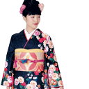 【振袖 着物】H・L 絵羽 振袖 着物【単品】【19】濃紺系 大花 縞 成人式 記念日 卒業 お祝い 結婚式 二次会 女子会 パーティー レトロ 大柄 モダン ジャパン 日本 レディース 和服 着物 和装 H・L H・L HL H.L アッシュエル エイチエル【E】