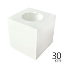 【　抽選箱　大 】 アクリル抽選箱ホワイト(不透明) L /幅30cm/奥行30cm/高さ30.6cm