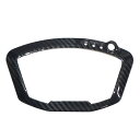 カーボン製 インストルメントガード メーターカバー ドゥカティ 1098 1198 848ドライカーボン製 Ducati DryCarbon Instrument Guard