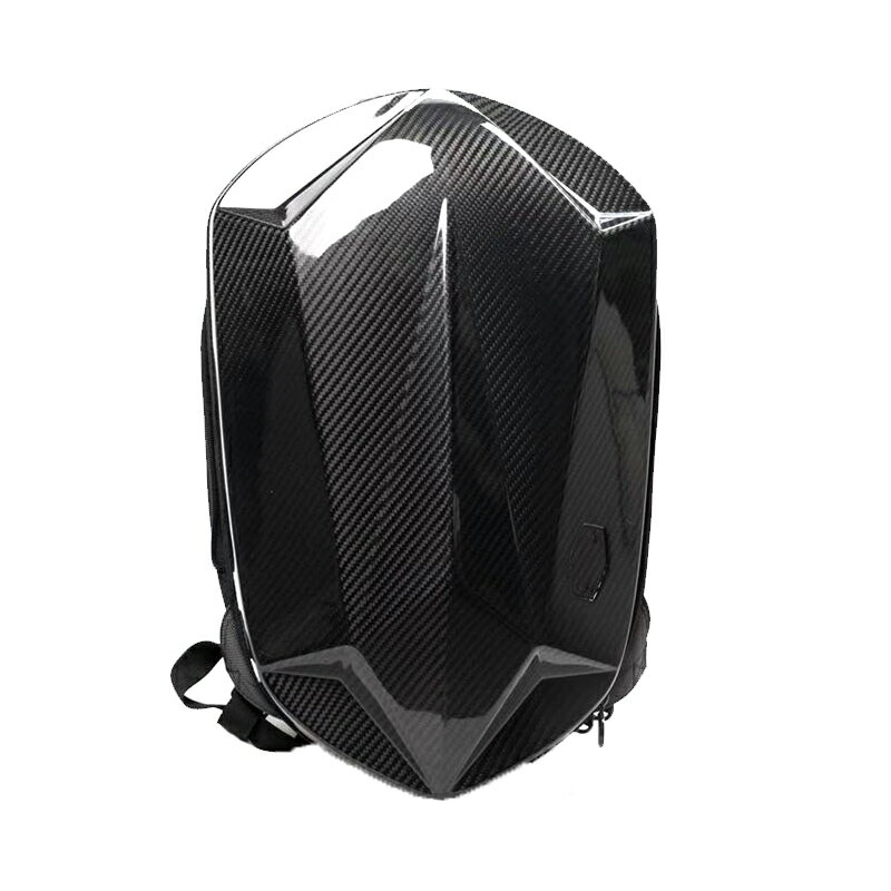 ܥ å Хåѥå 饦ɥեʡ ꥢ륫ܥ CARBON ú BACKPACK