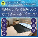 Sym・Earth シン・アース高HADO 波動 ナノシーツ サイズ約95×210cm陰陽理論 母なるアース(4)