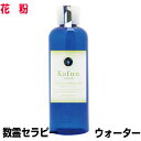 数霊セラピーウォーター 花粉波動水 エネルギー 転写 プラント代引不可 波動測定器数霊システム2 数霊MINI 本物研究所